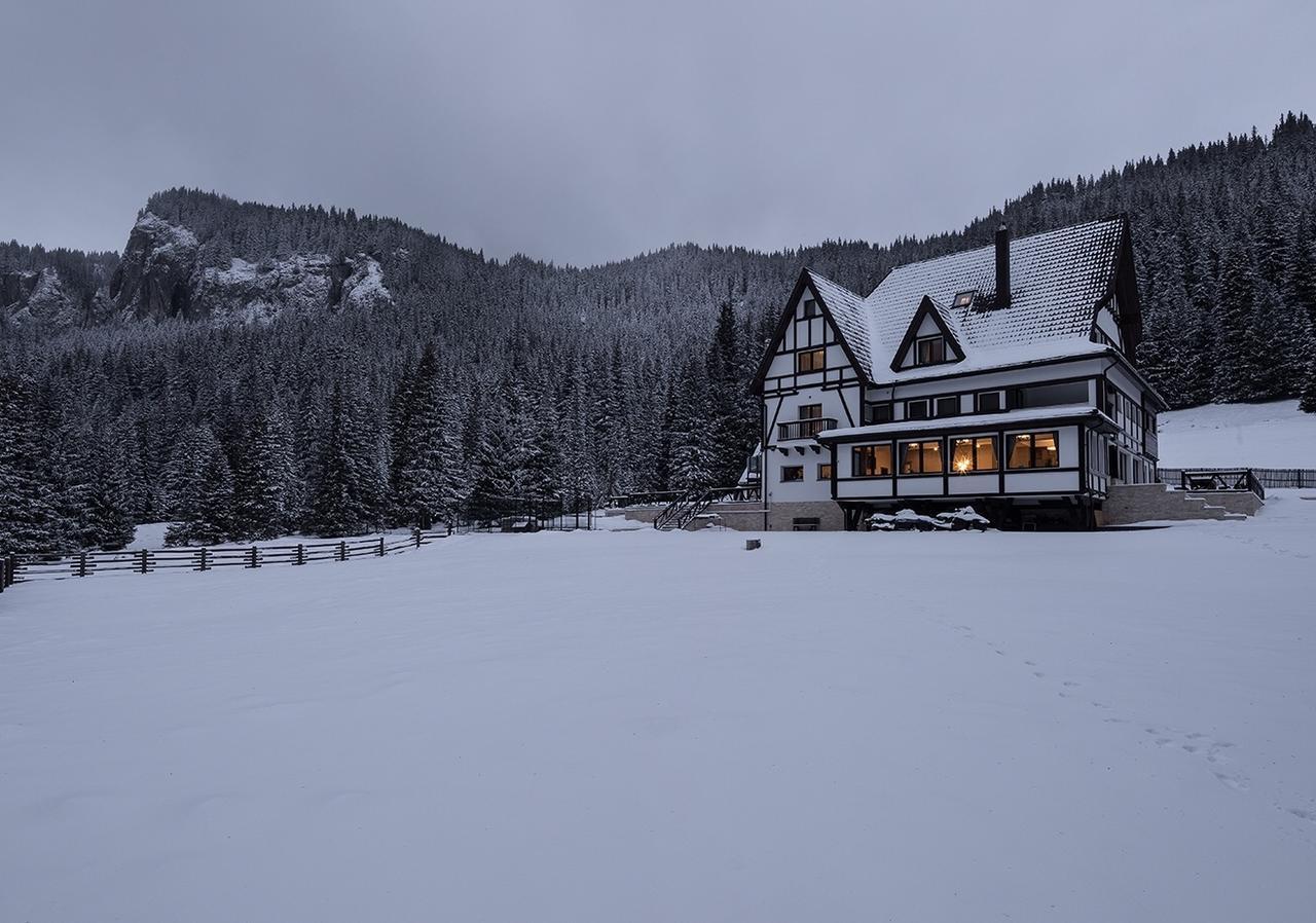 Chalet Alpina Moroeni Exterior foto